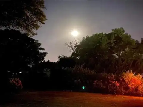 Terreno en Venta de 800,0 m2