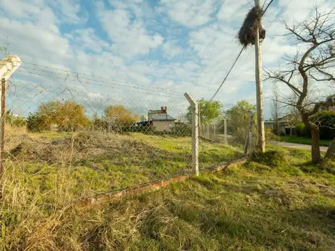 Lomas de San José 100