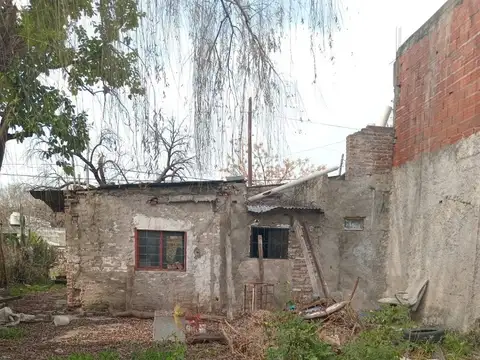 CELESTINO VIDAL 2400