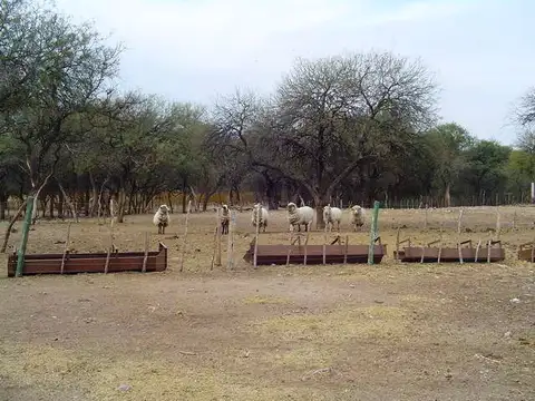 Campo en Venta de 61  ha