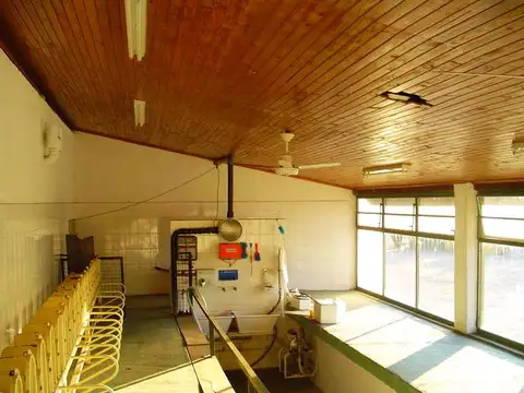 Vende Campo De 61 Hectáreas En San Marcos Sierras Con Tinglado, 3 Cabañas, Baños, Oficina