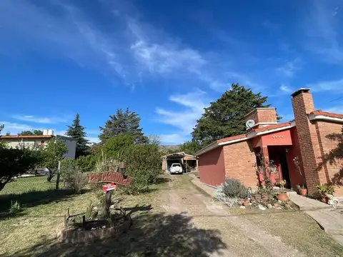 Leopoldo Lugones 100