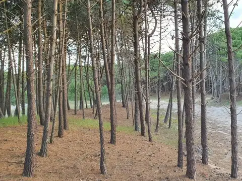 Terreno en Venta de 887,0 m2