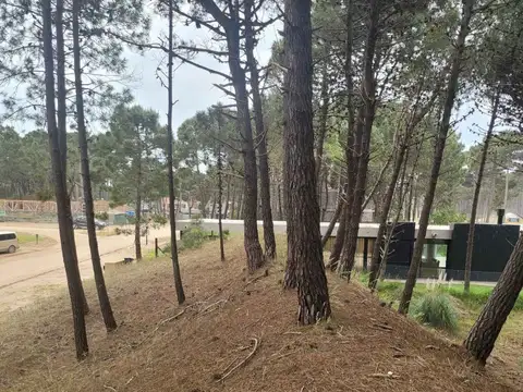 Avenida Verde de Circunvalación