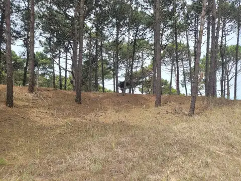 Terreno en Venta de 887,0 m2