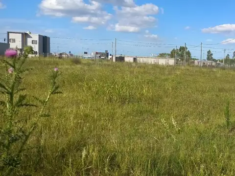 Terreno en venta - 600mts2 - Arana, La Plata