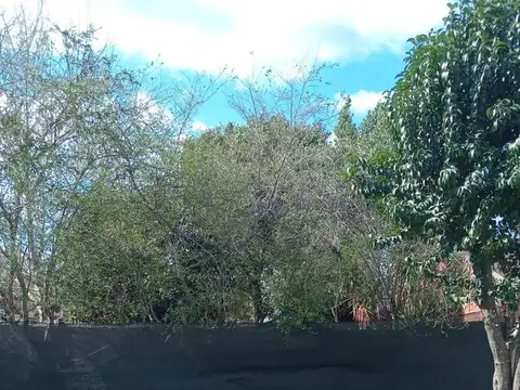 Martin de Gainza, Trujui-Moreno al 2800