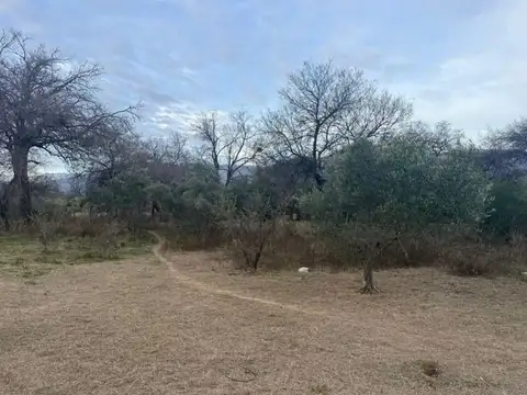 Terreno en Venta de 1245,0 m2