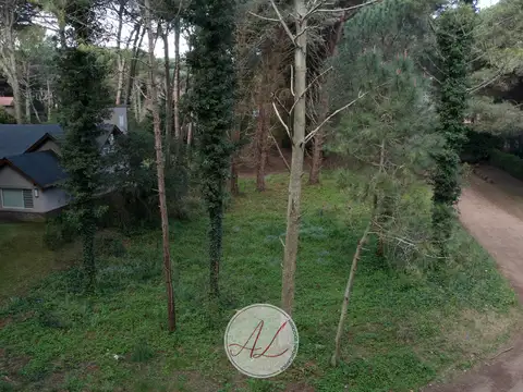 Terreno en Venta 20  mts Fondo