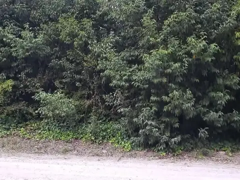 Urquiza e/ Cornelio Saavedra y Liniers