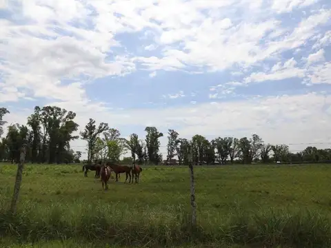 Terreno en Venta de 1000,0 m2