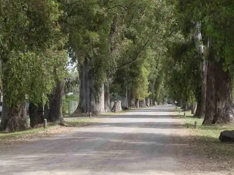 Terreno en Venta en Los Tres Pinos, USD 22.000