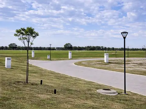 Mariano Castex 10000