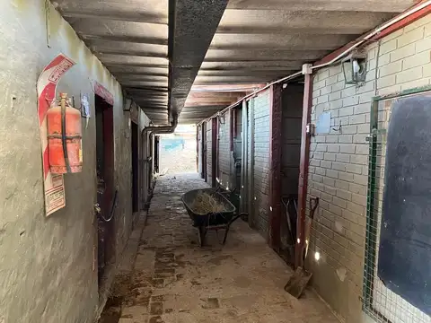 Terreno en Venta de 8605,0 m2