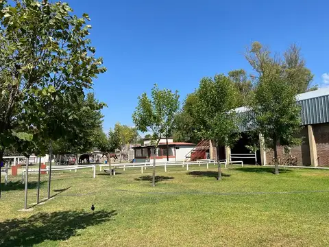 Zorrilla de San Martín 4600