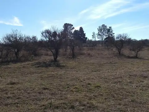 Terreno en Venta en Villa Los Aromos, USD 20.000