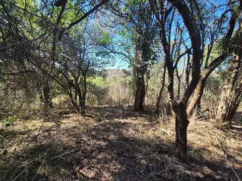 Terreno en Venta de 5000,0 m2