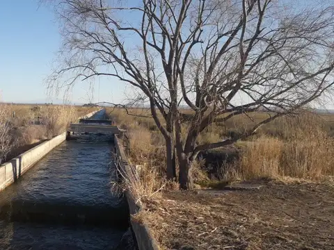 VENDO IMPORTANTE FINCA SAN RAFAEL MENDOZA