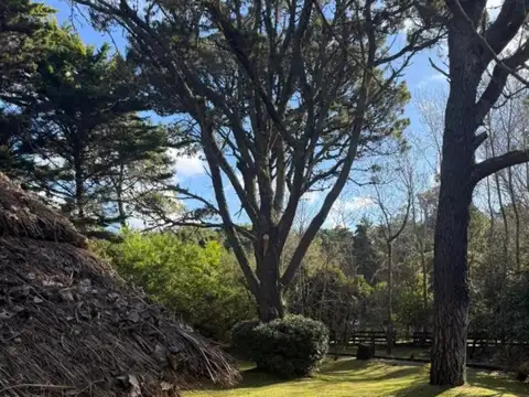 Terreno en Venta en Carilo, USD 180.000