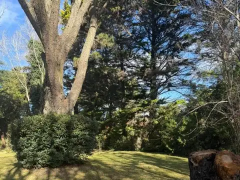 Avenida Divisadero y Nandubay