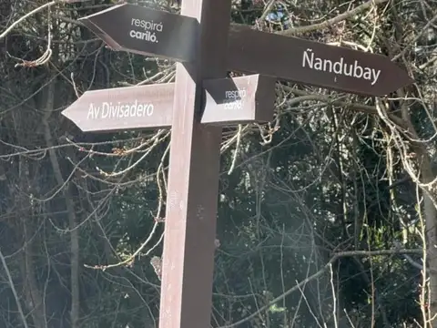 Avenida Divisadero y Nandubay