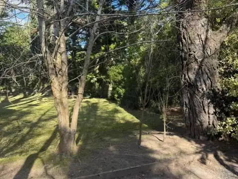 Terreno en venta - 1.200Mts2 - Cariló