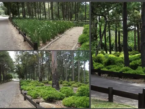 Terreno en Venta de 4000,0 m2