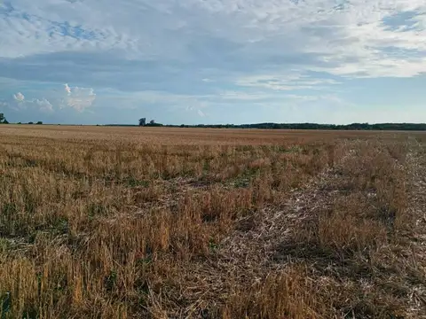 Ruta Provincial N°14 , Piso 0