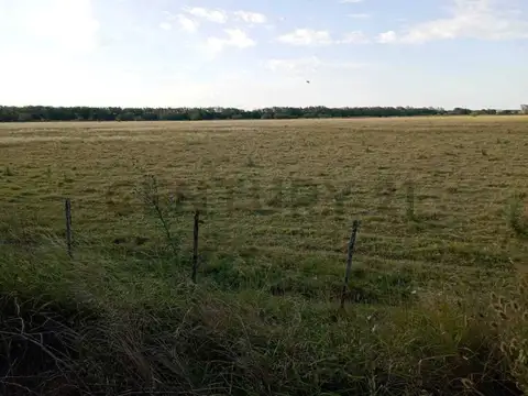 VENTA CAMPO AGRICOLA GANADERO 100 HA PUEBLO MUÑOZ SANTA FE