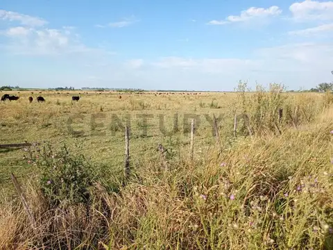 Oficina en Venta A Estrenar