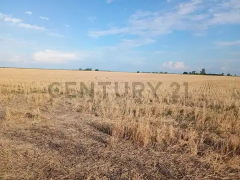 Oficina en Venta en Pueblo Muñoz, USD 780.000