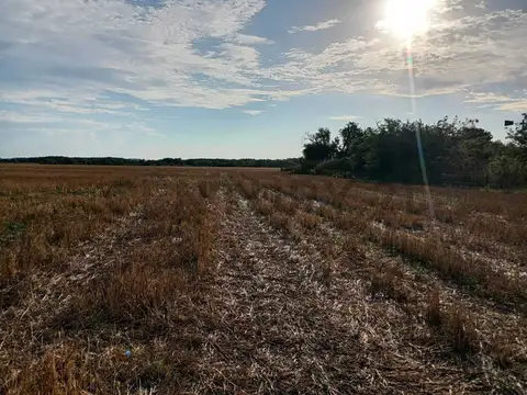 Ruta Provincial N°14 , Piso 0