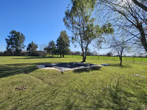 Chacra alomada en Carlos Keen