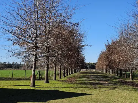 Campo en Venta Agricola