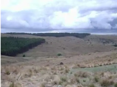 Camino Al Durazno 3000