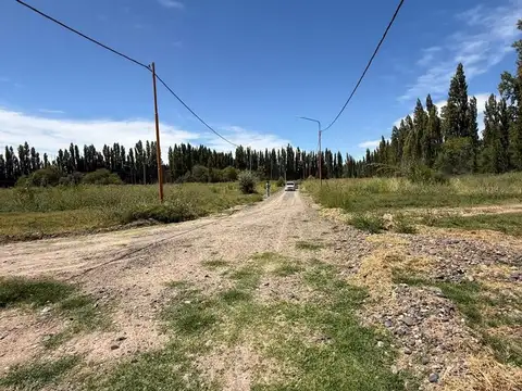 La Emilce, Calle 100