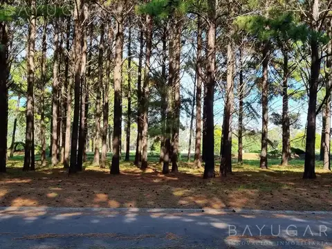 OPORTUNIDAD - Lote en Venta / Los Pinares Country Club - Capilla del Señor