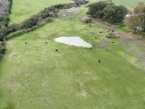 Vendo Campo de 13 Hectáreas en San Justo, Entre Ríos.