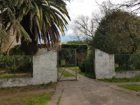 Juan M. Castro Chaves 500