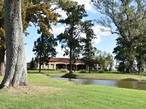 Terreno en Venta 40  mts Fondo