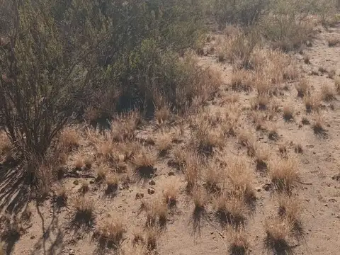 carril de los baldes