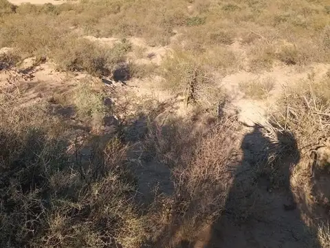 CAMPO GANADERO CON AGUA