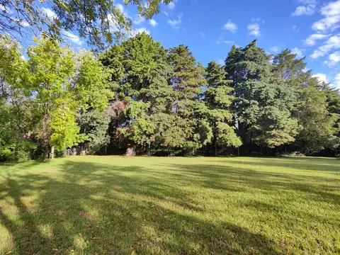 HERMOSO LOTE EN Bº PARQUE EL REMANSO CALLE LA GOLONDRINA . FORESTADO