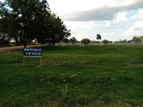 Los Nogales (Bolacqua)