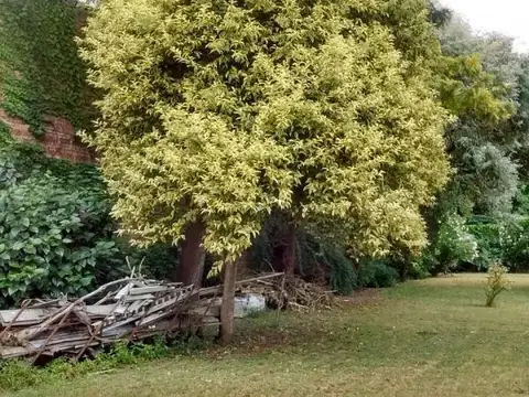 Terreno en Venta en Ensenada, USD 74.000