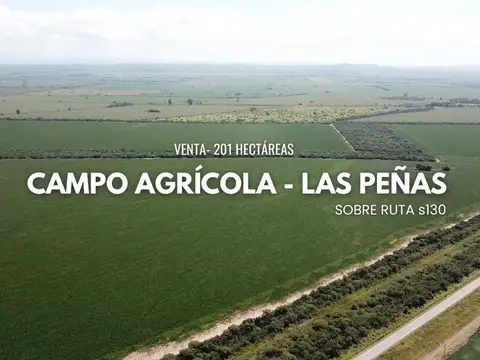 Venta Campo 201 Ha Agrícola s/ Ruta - Totoral - Córdoba