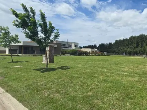 Calle El Deslinde 1100