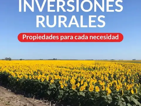 Cochera - Venta - Argentina, Capital Federal - AVENIDA SANTA FE 2630