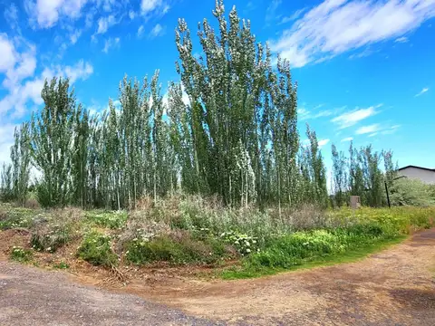 Terreno en Venta de 900,0 m2