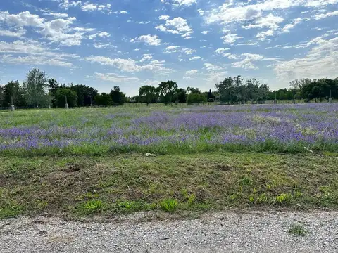 Terreno en Venta de 600,0 m2